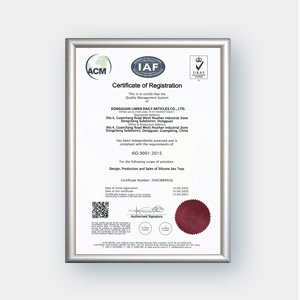 ISO9001 Zertifikat