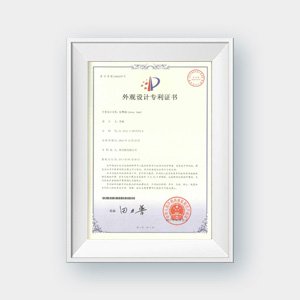 Designpatent 1