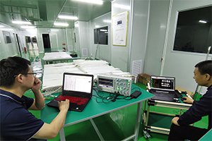 Überprüfung des Elektrokreislaufs und Prüfsoftware